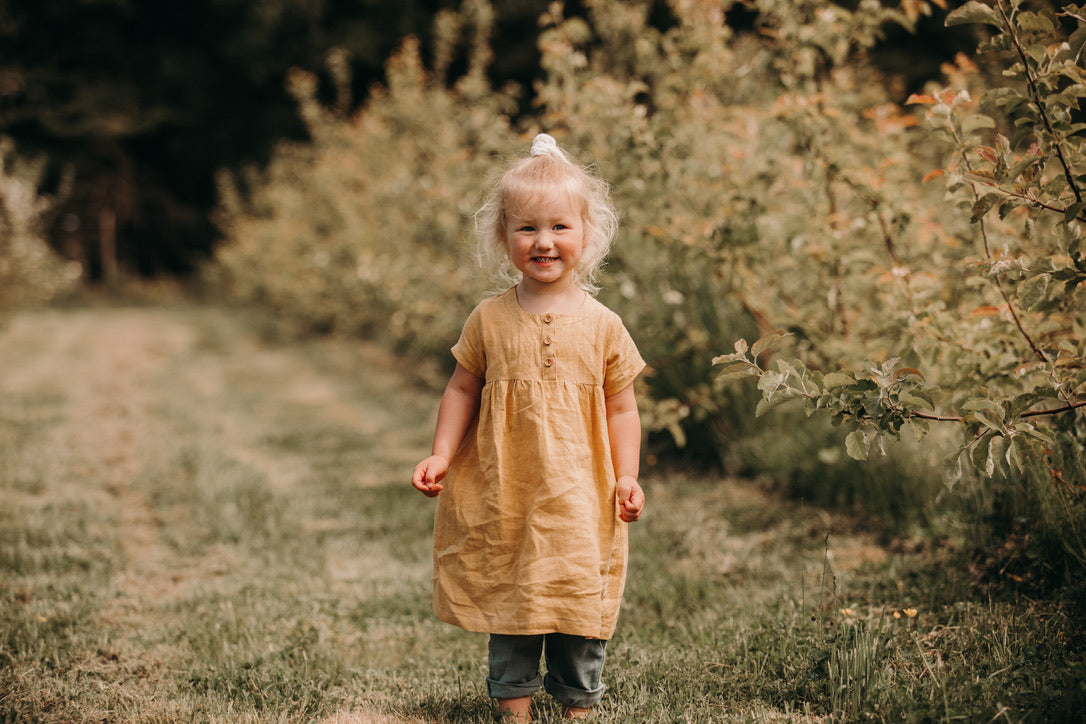 vega dress